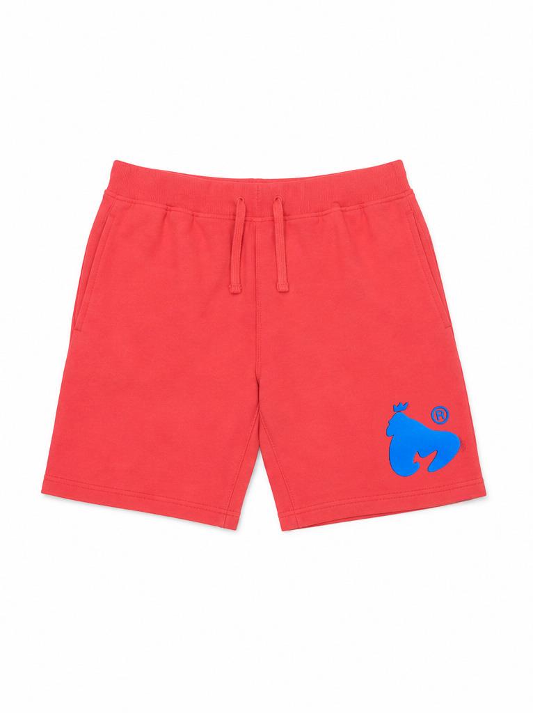 Pack Shorts